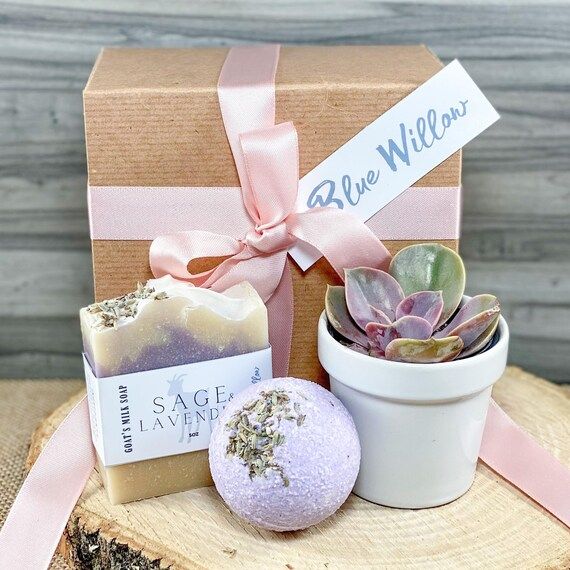 Mothers Day Gift Box Personalized Mothers Day Gift Live Succulent Gift Box Care Package Friend Gi... | Etsy (US)