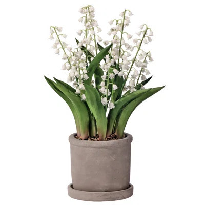 12" Potted Lily Of The Valley | Wayfair North America
