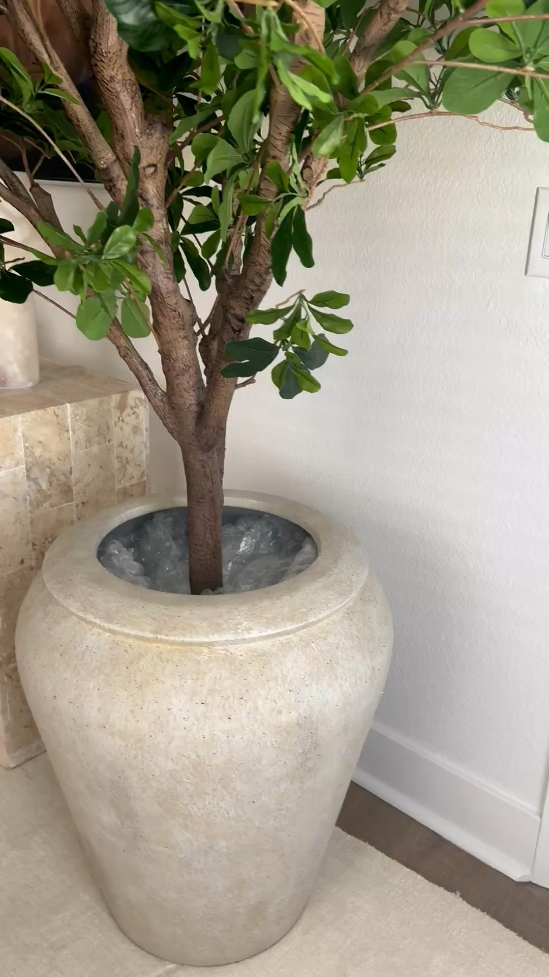 Looking for some realistic greenery that isn’t muted? This duo is perfect!🌱

#LTKHome