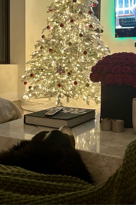 Cozy home decor and fav throw blanket from Amazon
Xmas tree 