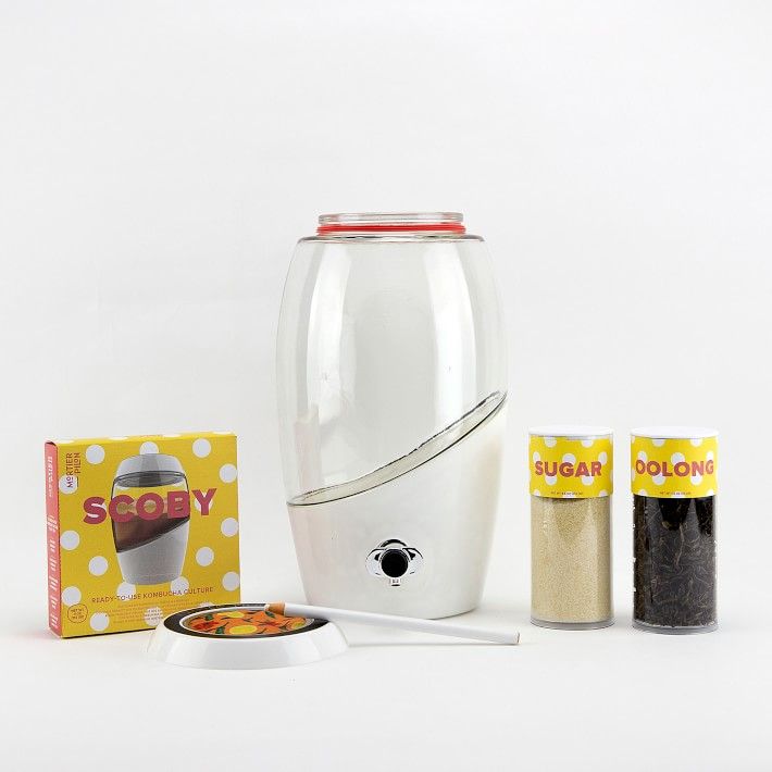 Kombucha Kit | Williams-Sonoma