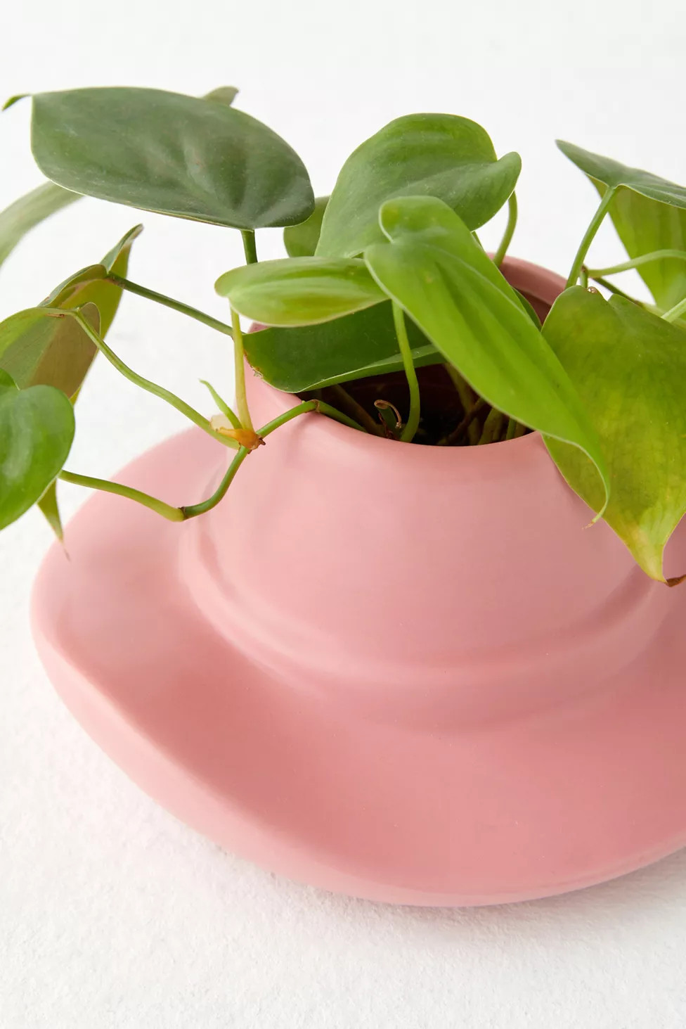 NPW Cowboy Hat Planter | Urban Outfitters (US and RoW)