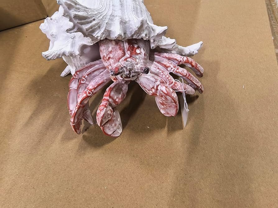 VVGIFTS Beach Coastal Decor Red Hermit Crab with Shell Figurines Decor Home Office Desk Sculpture... | Amazon (US)