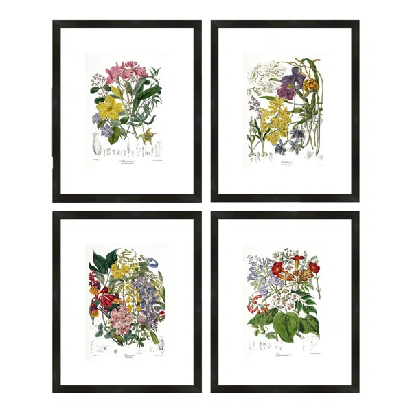 'Botanical' by PTM Images | Wayfair North America