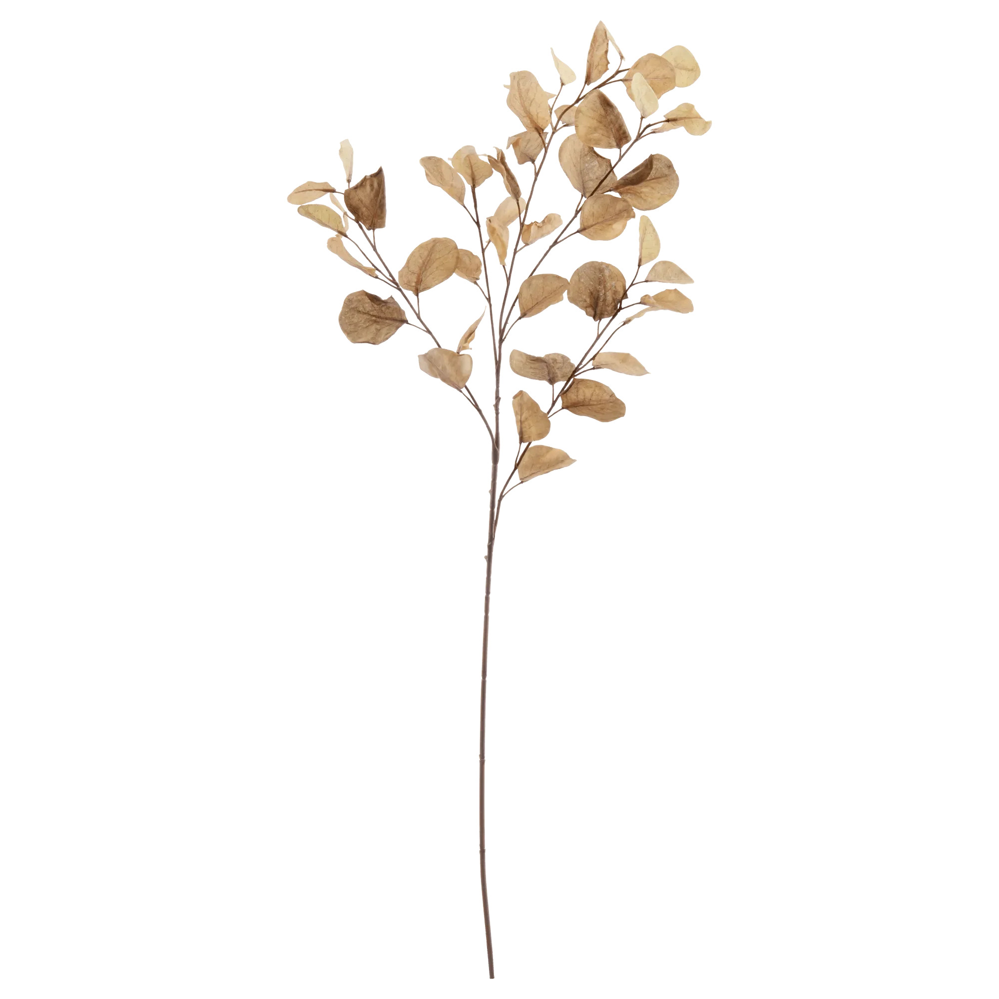 Artificial Eucalyptus Stem | Bouclair