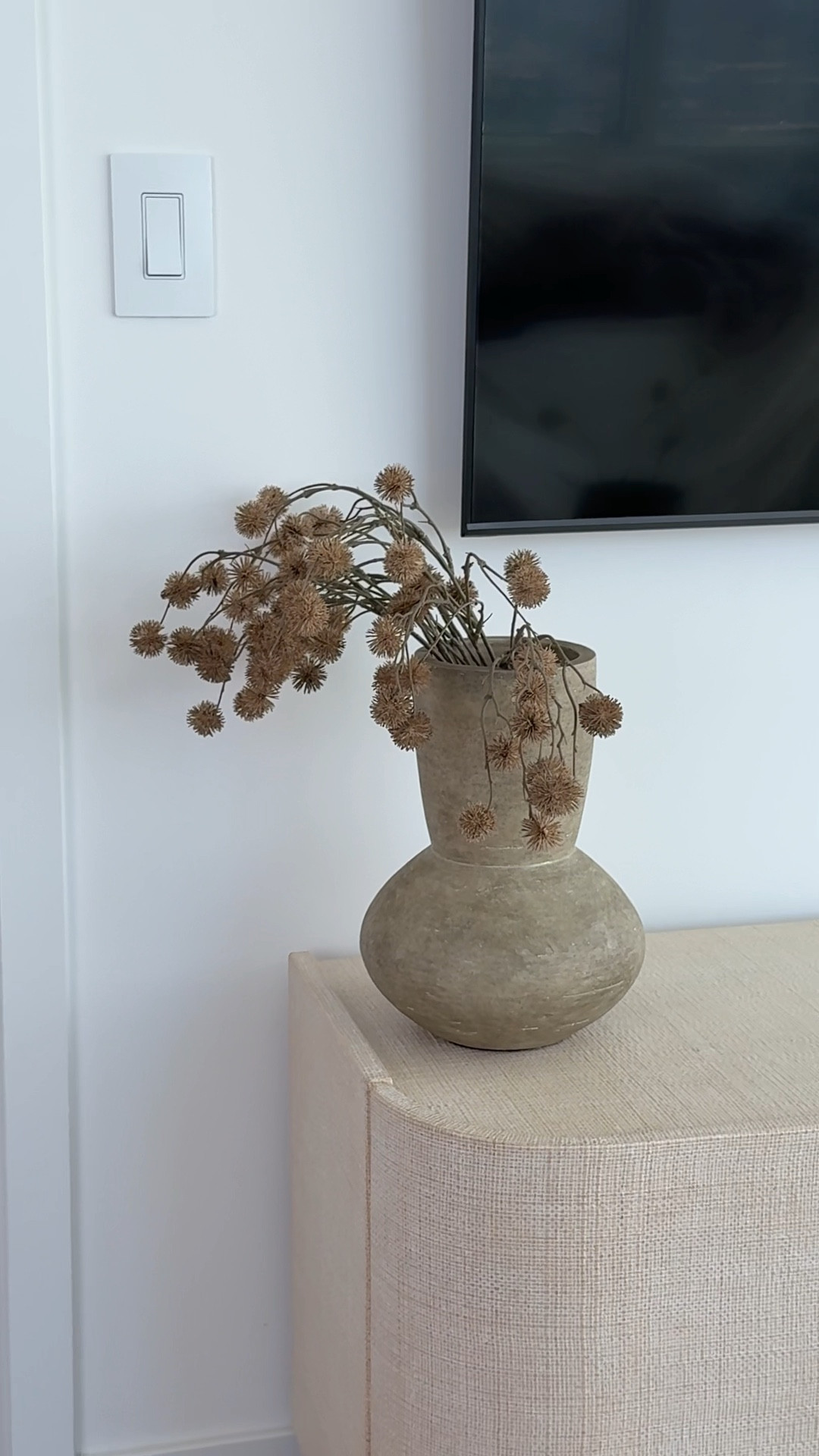 3 plants to elevate your home 

house plant, home decor, faux plant, olive tree, planter, vase