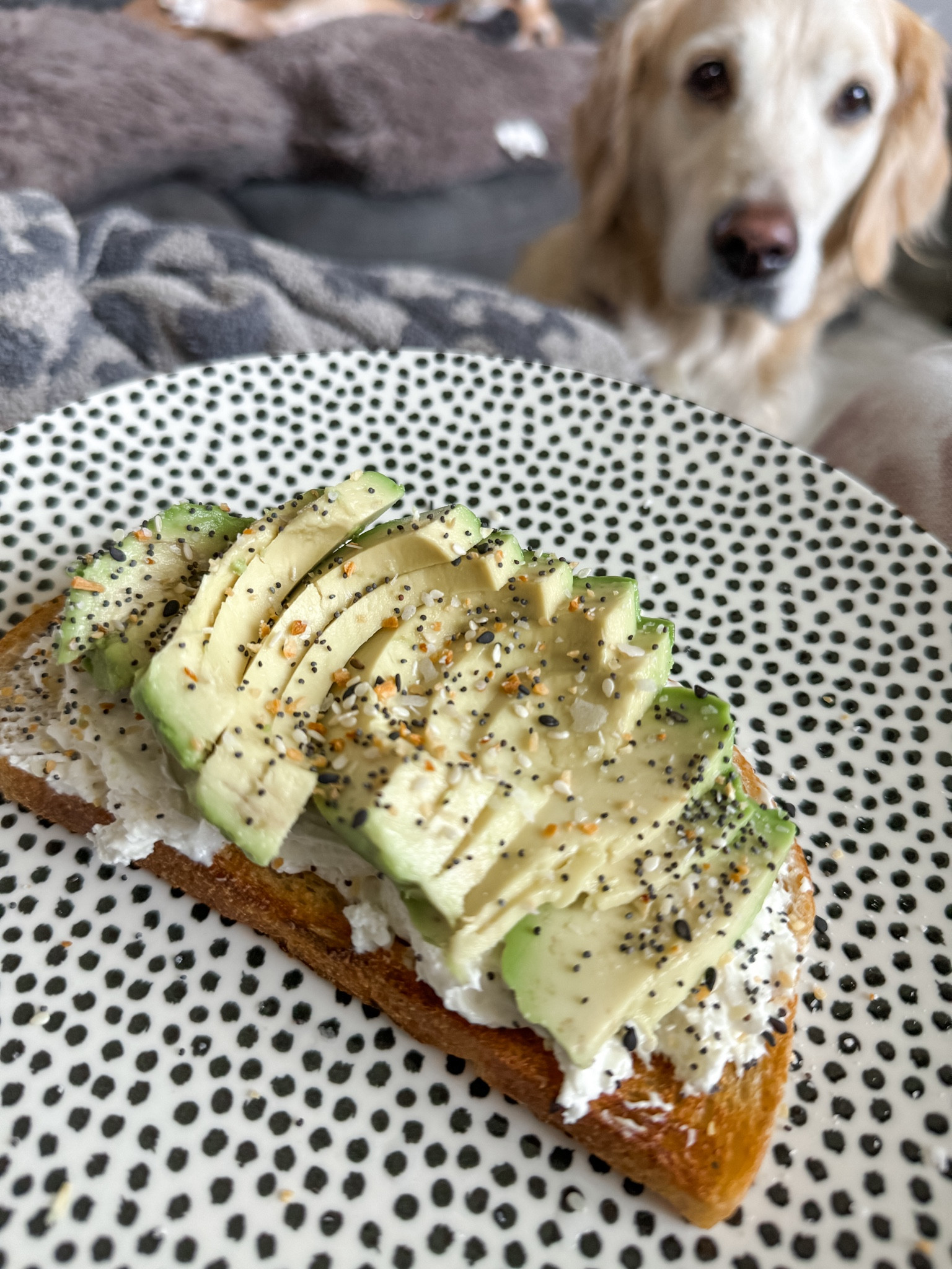 Quick & Easy Meals for me are typically an avocado toast in some way! Today is an everything but the bagel recipe! Love these cute dinner plates from Walmart too! 

#LTKSeasonal #LTKhome #LTKfindsunder50
