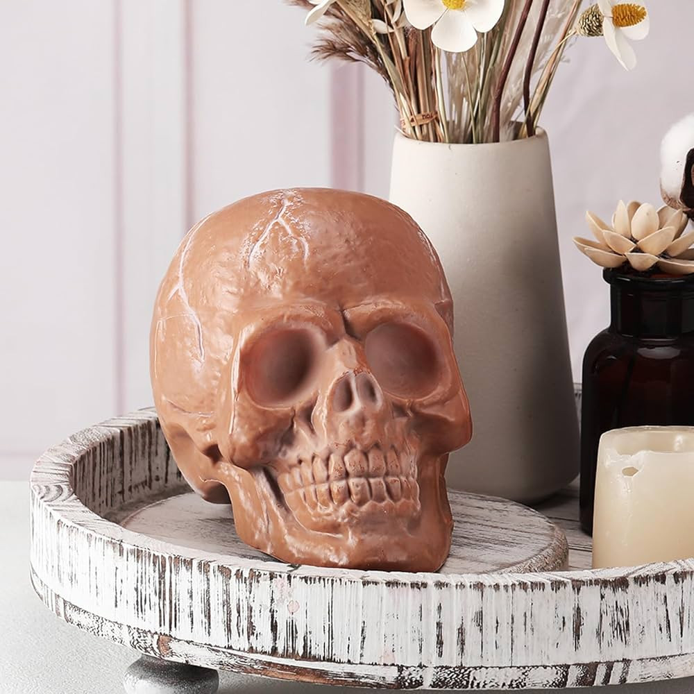 Plastic Skull Human Skeleton Head Terracotta Color 5.9 Inch Life-Size Skull Model for Halloween Indoor Outdoor Decor Party Centerpiece | Amazon (US)