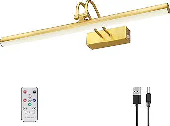 RAIFOOLLY Picture Light, 16in Battery Operated Picture Lights for Paintings,Metal Remote Control ... | Amazon (US)