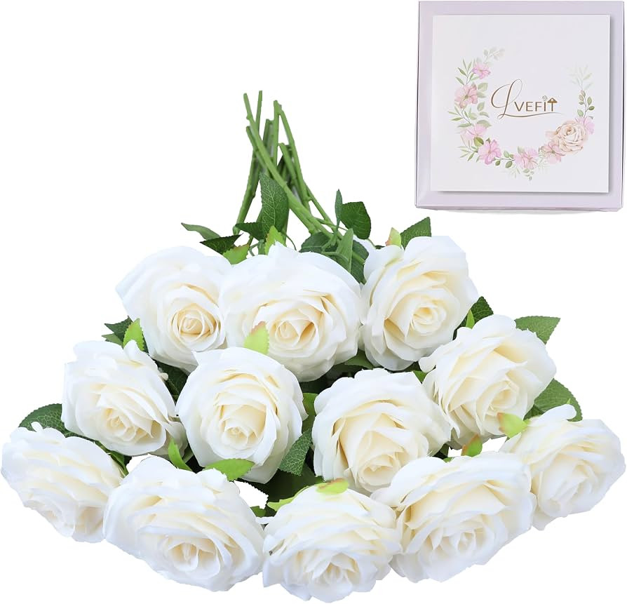 LVEFIT Artificial Rose Flower Ivory Flowers Ivory Roses White Roses Silk Flowers 12 pcs with Long... | Amazon (US)