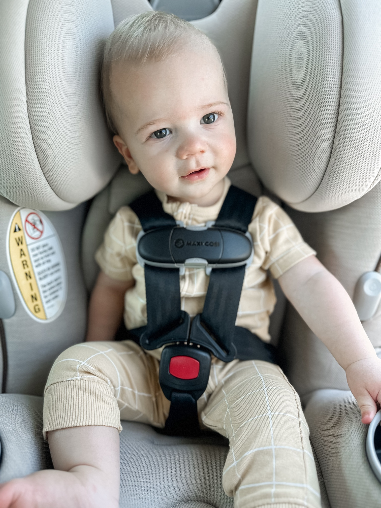 Pria Car Maxi Cosi Pria In Review Maxi-Cosi Pria Chill All-in-One  Convertible Car