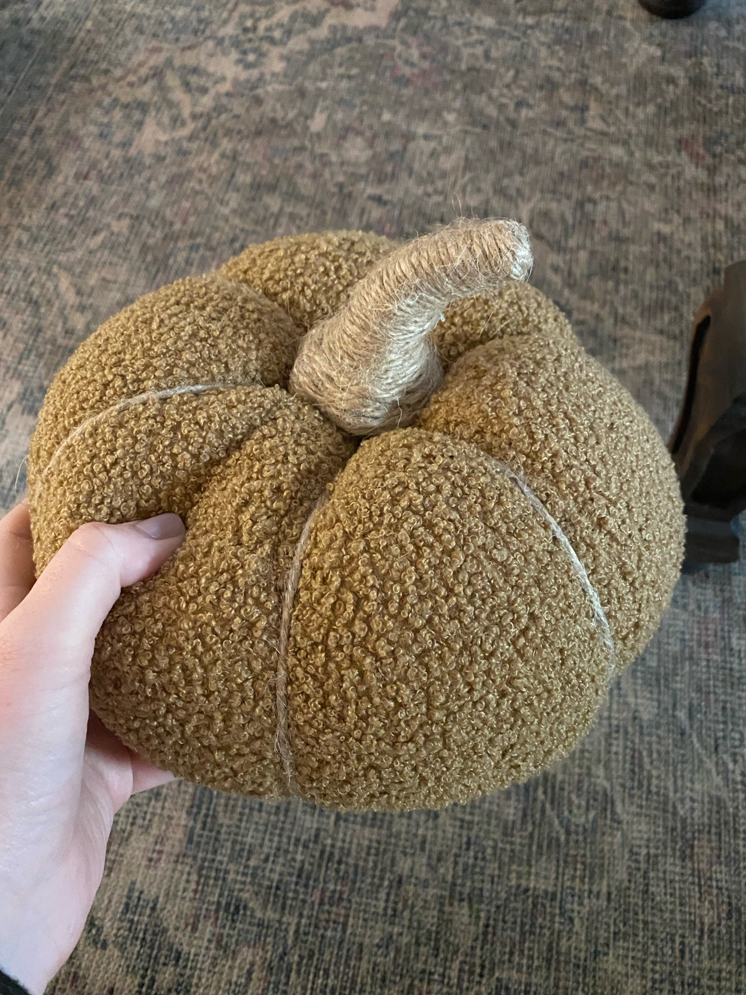 Kirklands pumpkin pillow

#LTKSeasonal #LTKhome