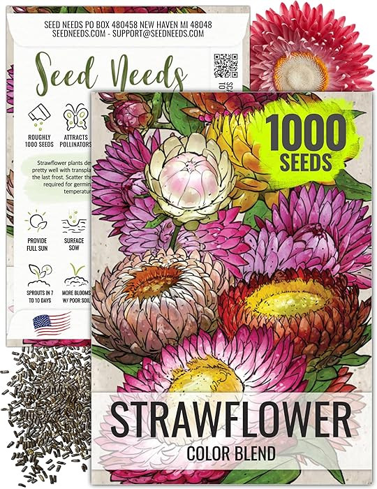 Seed Needs Strawflower Seeds for Planting - Heirloom & Open Pollinated Annual Flower Seed - Grow ... | Amazon (US)