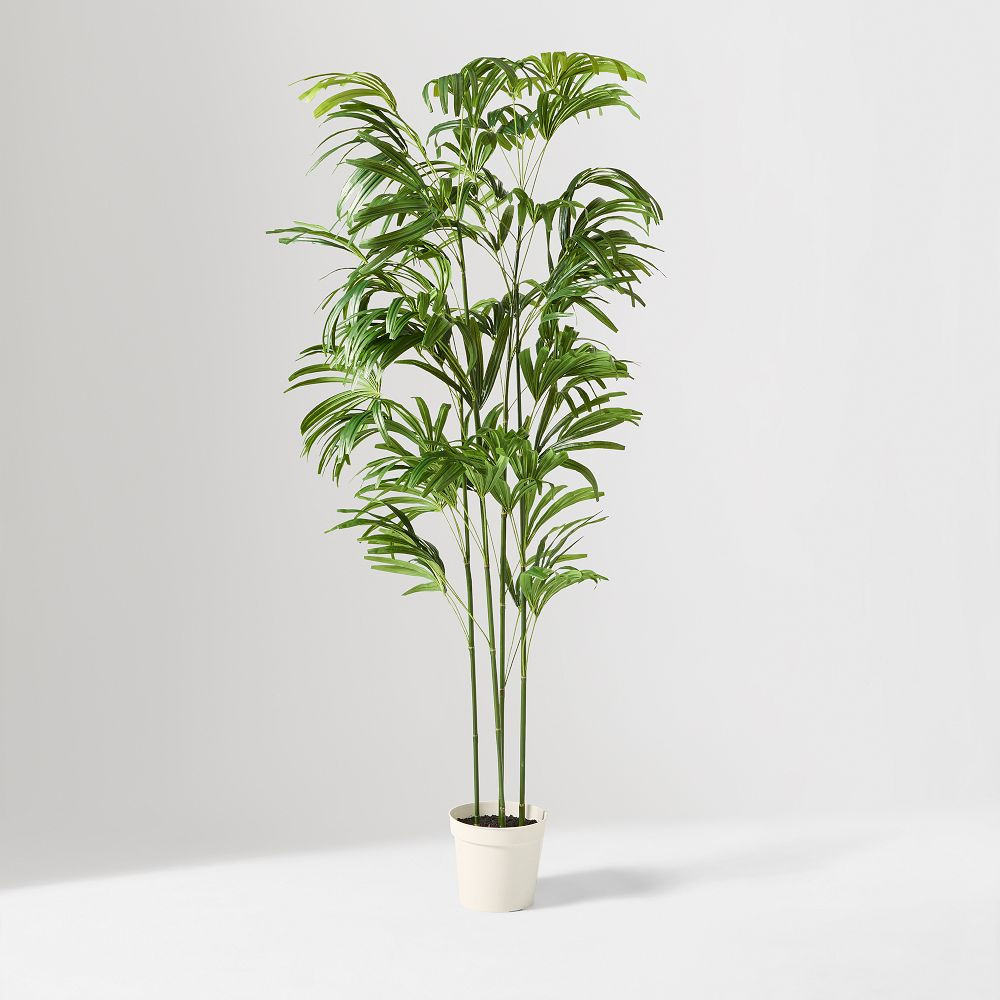 Faux Potted Bamboo Palm Tree (7') | West Elm (US)