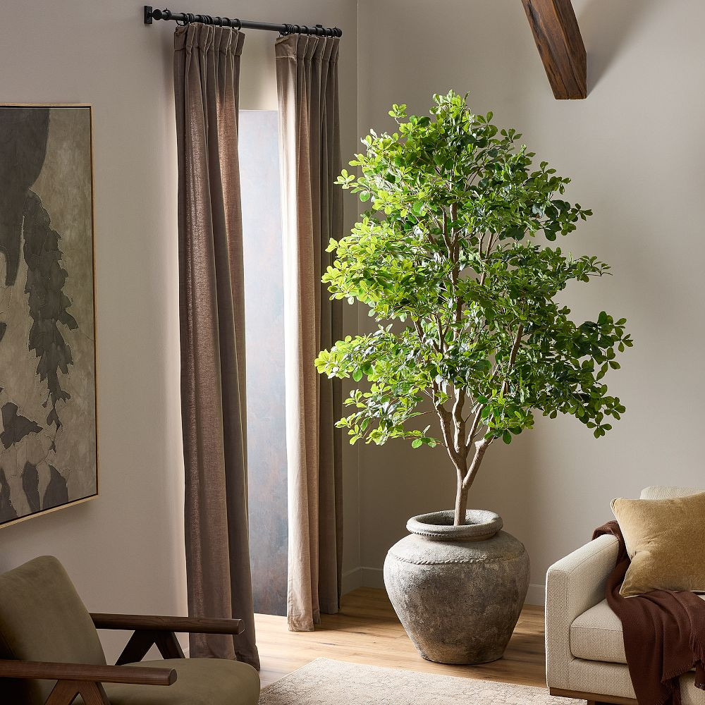 Faux Potted Aralia Tree | West Elm (US)