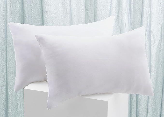 NEERYO Soft Polyester Throw Pillow Inserts Hypoallergenic Sham Stuffer Decorative Pillow Bed Couc... | Amazon (US)