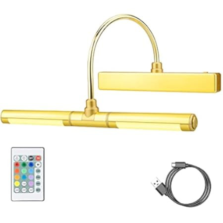 Modern Picture Lights 16.54'' Inch Brass for Painting Display Wall, Metal Artwork LED Wall Lamp,9W(4 | Amazon (US)