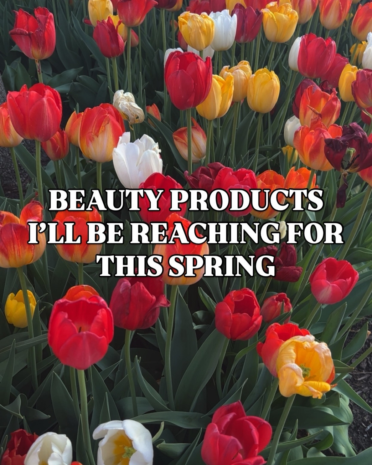 Some beauty products I’ll be reaching for this spring! 

Spring beauty, skincare, makeup, spring skincare, spring makeup

#LTKselfcare #LTKBeauty #LTKgrwm