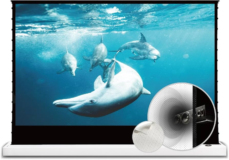 VIVIDSTORM- Projector Screen S 120 Inch Portable Folding Stand Floor Rising Movie Screen Sound Tr... | Amazon (US)