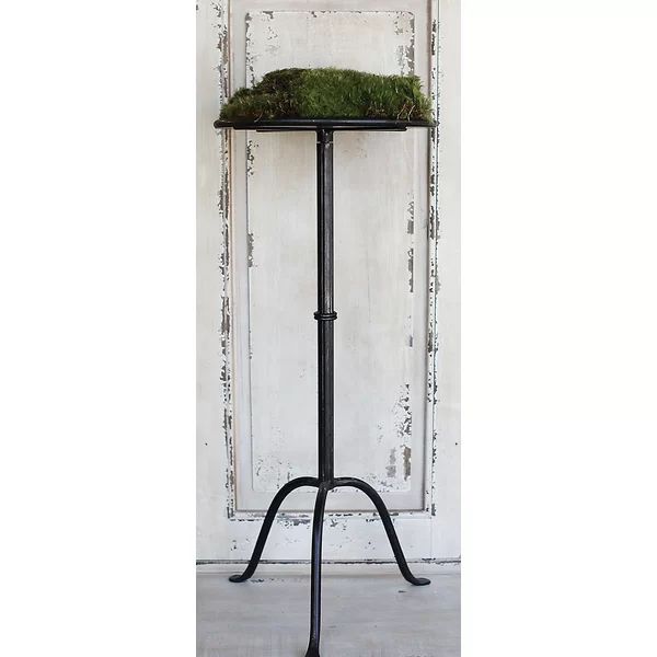 Doster 27.75'' Tall Pedestal End TableSee More by Williston ForgeRated 4.5 out of 5 stars.4.5285 ... | Wayfair North America