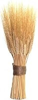 Natural dried wheat sheaves | Amazon (US)