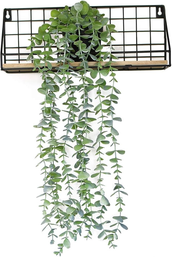 OTARTU Faux Plants Artificial Eucalyptus Vine,Fake Ivy Potted Hanging Eucalyptus Greenery Vines i... | Amazon (US)
