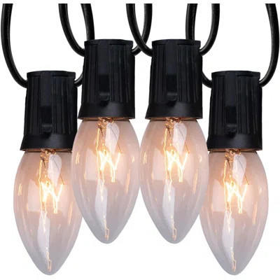 52 Light String Lighting | Wayfair North America