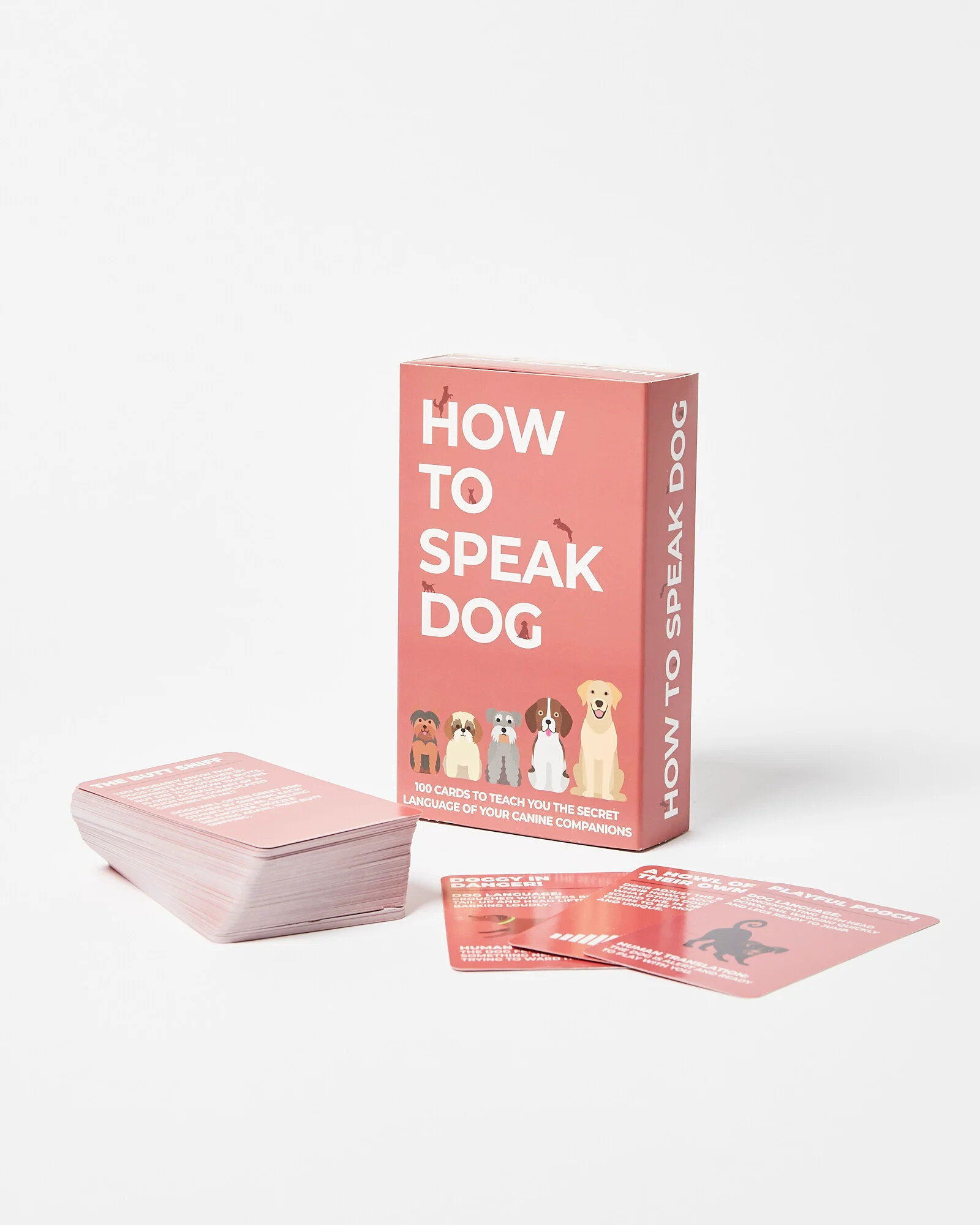 How To Speak Dog Cards | Oliver Bonas | Oliver Bonas (Global)