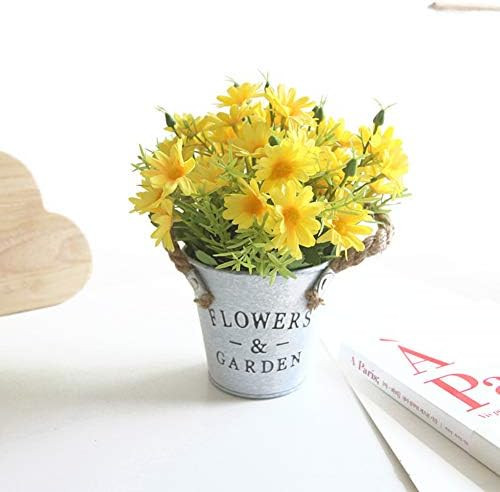 Amazon Spring  | Amazon (US)