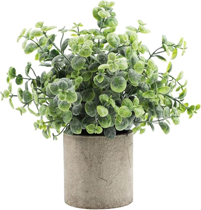 Faux Mini Potted Plants Artificial Plants in Pots Greenery Arrangement for Farmhouse Indoor Table... | Amazon (US)