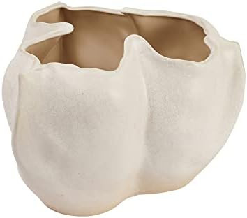 Bloomingville Decorative Organically Shaped Stoneware Planter, Matte Cream | Amazon (US)