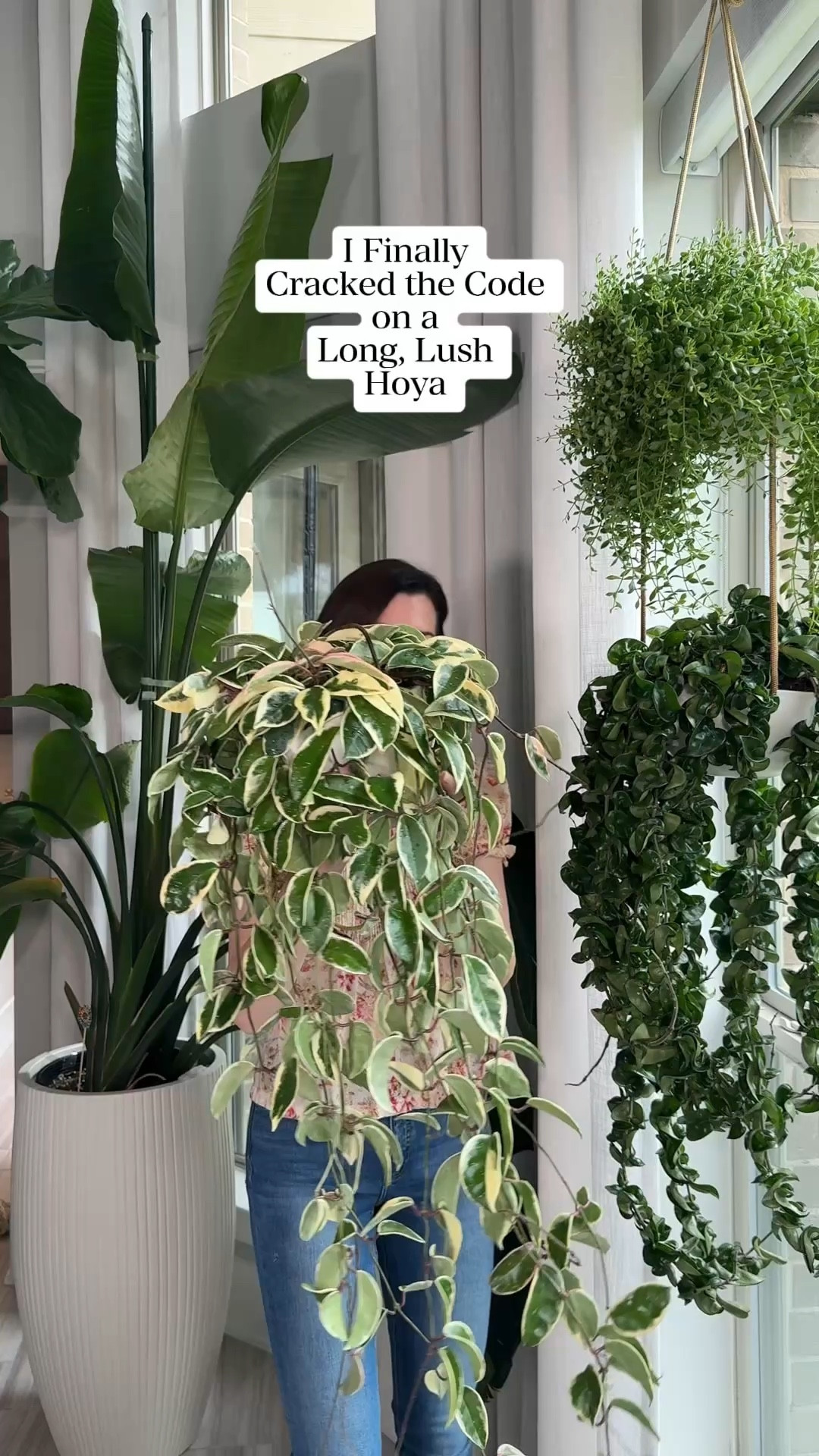 Comment “HOYA” for all the links! 🌿

Ready to take your Hoya to the next level? Here are 2 more tips you don’t want to miss:

4.  Give them as much indirect light as possible — the brighter the better!
5.  Fertilize every time you water. Keep it light and consistent and watch them take off.

Drop any Hoya questions below — I love geeking out over these plants! 🌱

#HoyaPlants #HoyaCare #PlantMom #HousePlantClub #PlantTips

#LTKMothersDay #LTKSeasonal #LTKmomlife