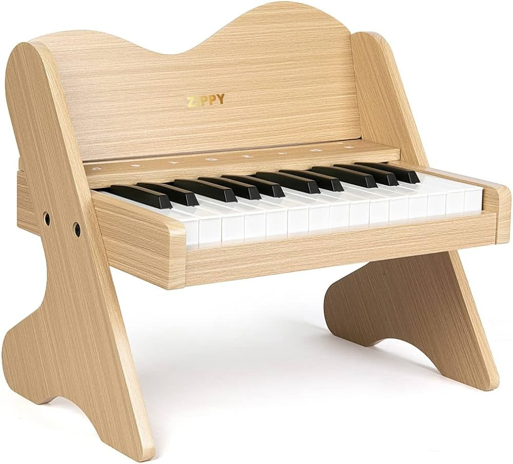 ZIPPY Kids Piano Keyboard, 25 Keys Digital Piano for Kids, Touch Sensitive Control Panel, Built-i... | Amazon (US)
