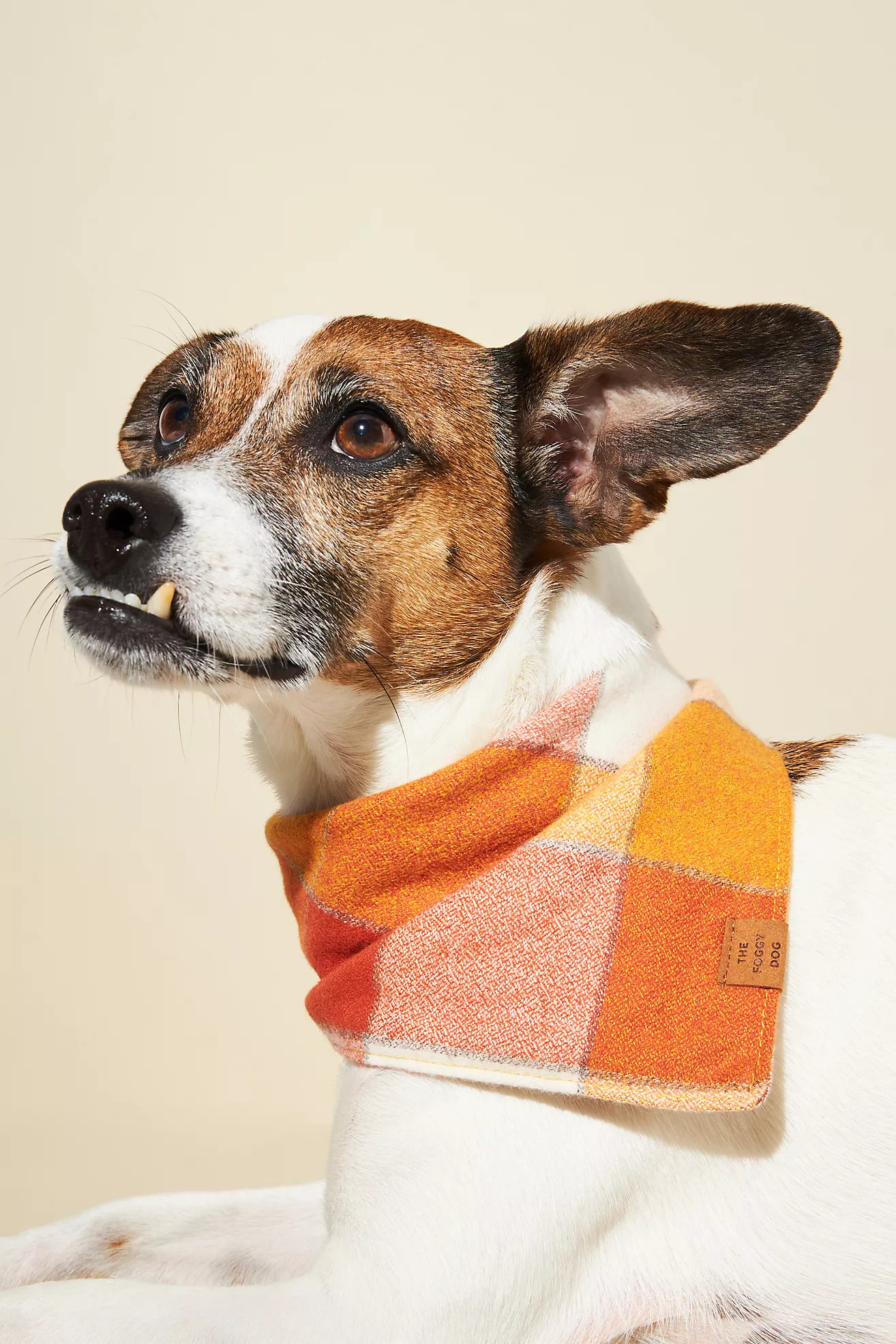 The Foggy Dog Fall Bandana | Anthropologie (US)