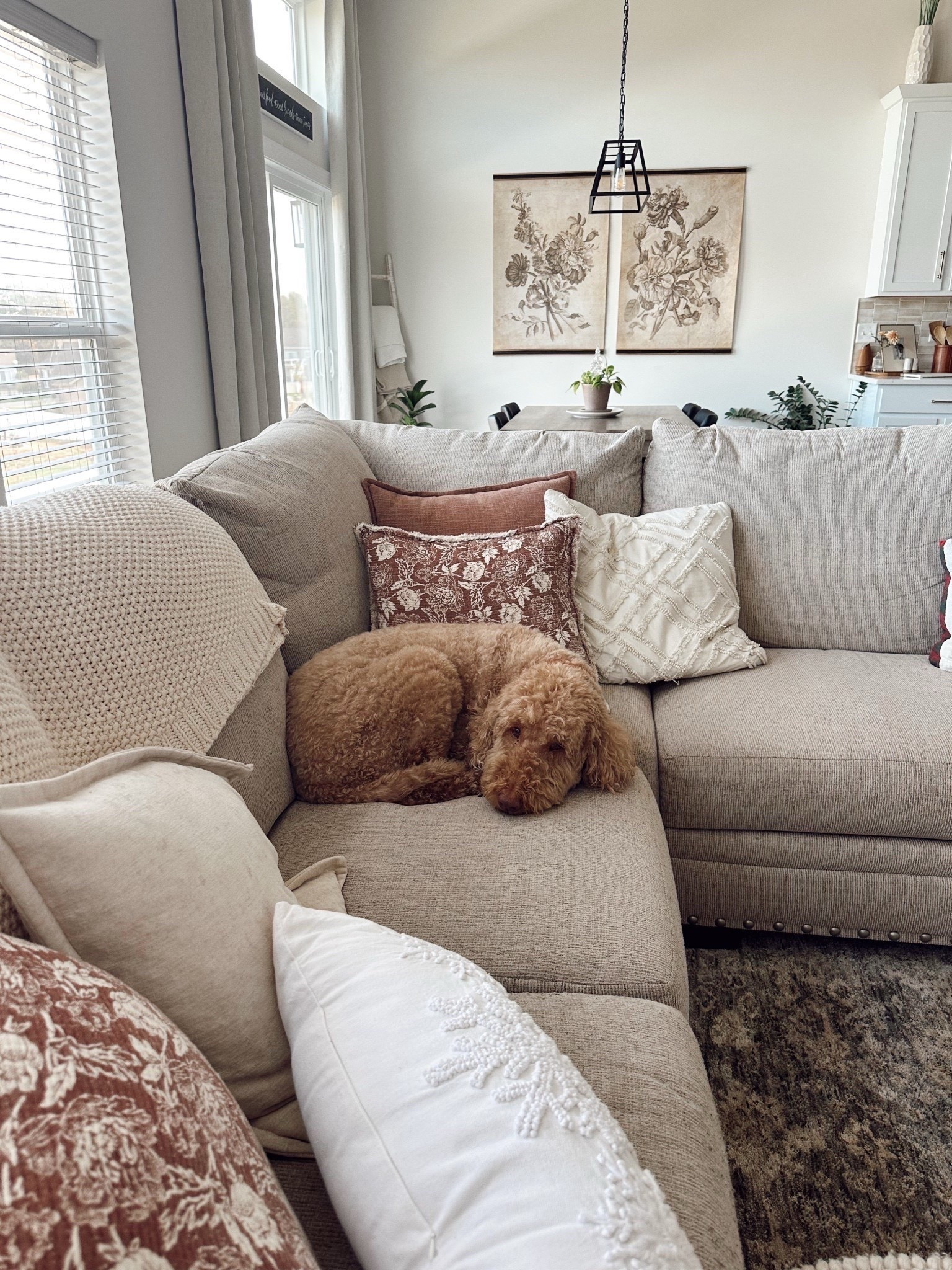 Linking my favorite wall art from magnolia home ✨ and our favorite throw pillows for the couch 🤭✨

#LTKHome #LTKSeasonal #LTKHoliday