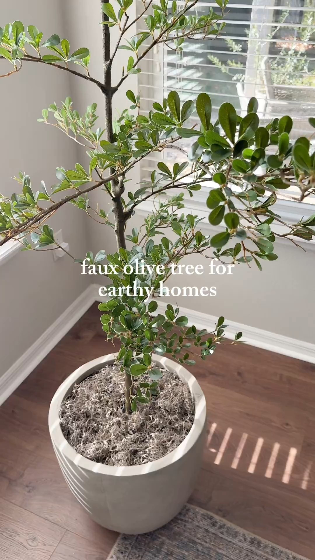 Faux Olive Tree Under $85! Such a good affordable home find. This faux olive tree looks so realistic and adds the perfect earthy, organic touch to any room. I love it for filling empty corners, entryways, or near a window, no maintenance, just easy, lived-in style.



#LTKselfcare #LTKSeasonal #LTKHome