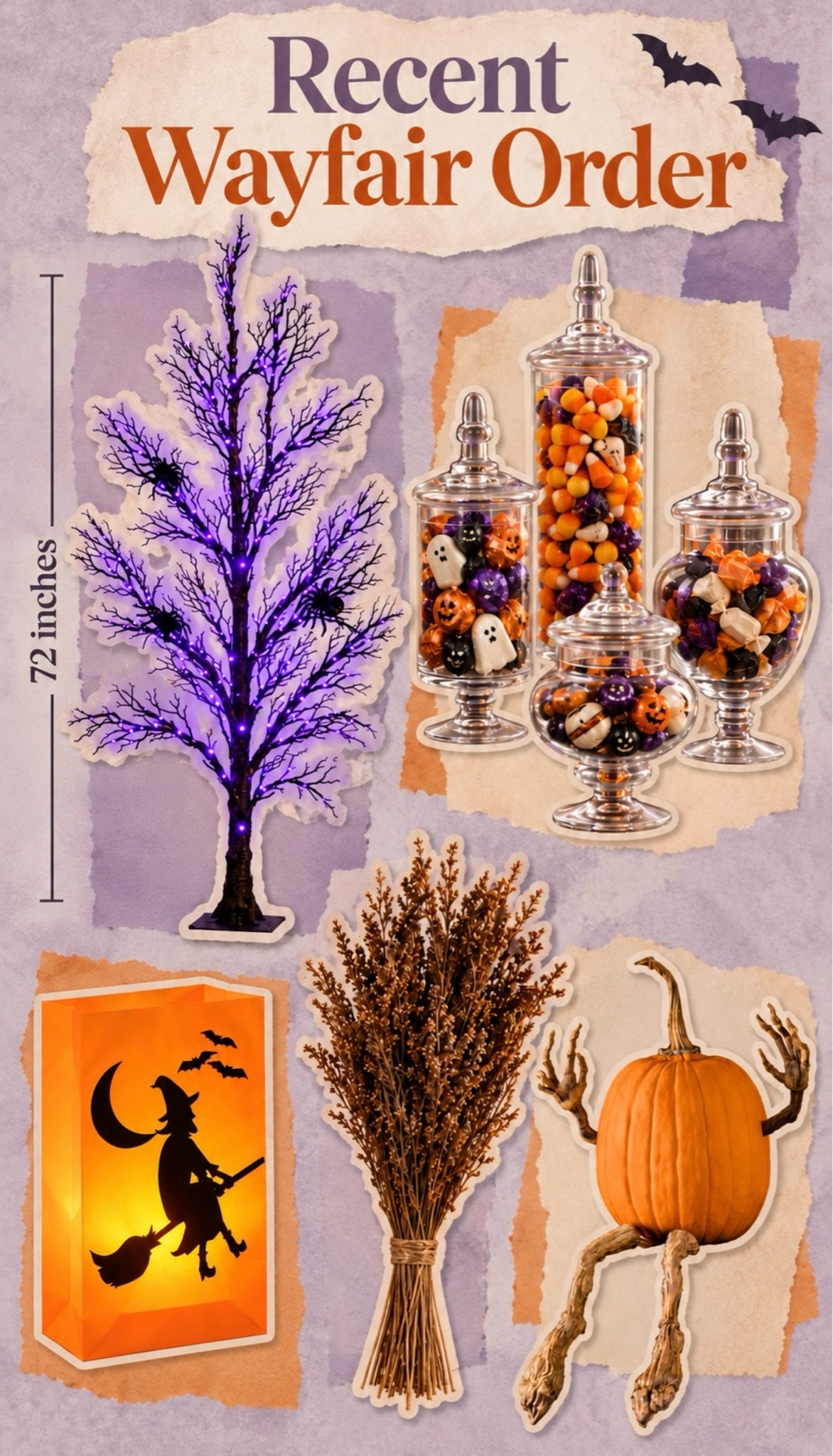 Recent Wayfair Order 🦇🔮

#LTKHome #LTKSeasonal #LTKU