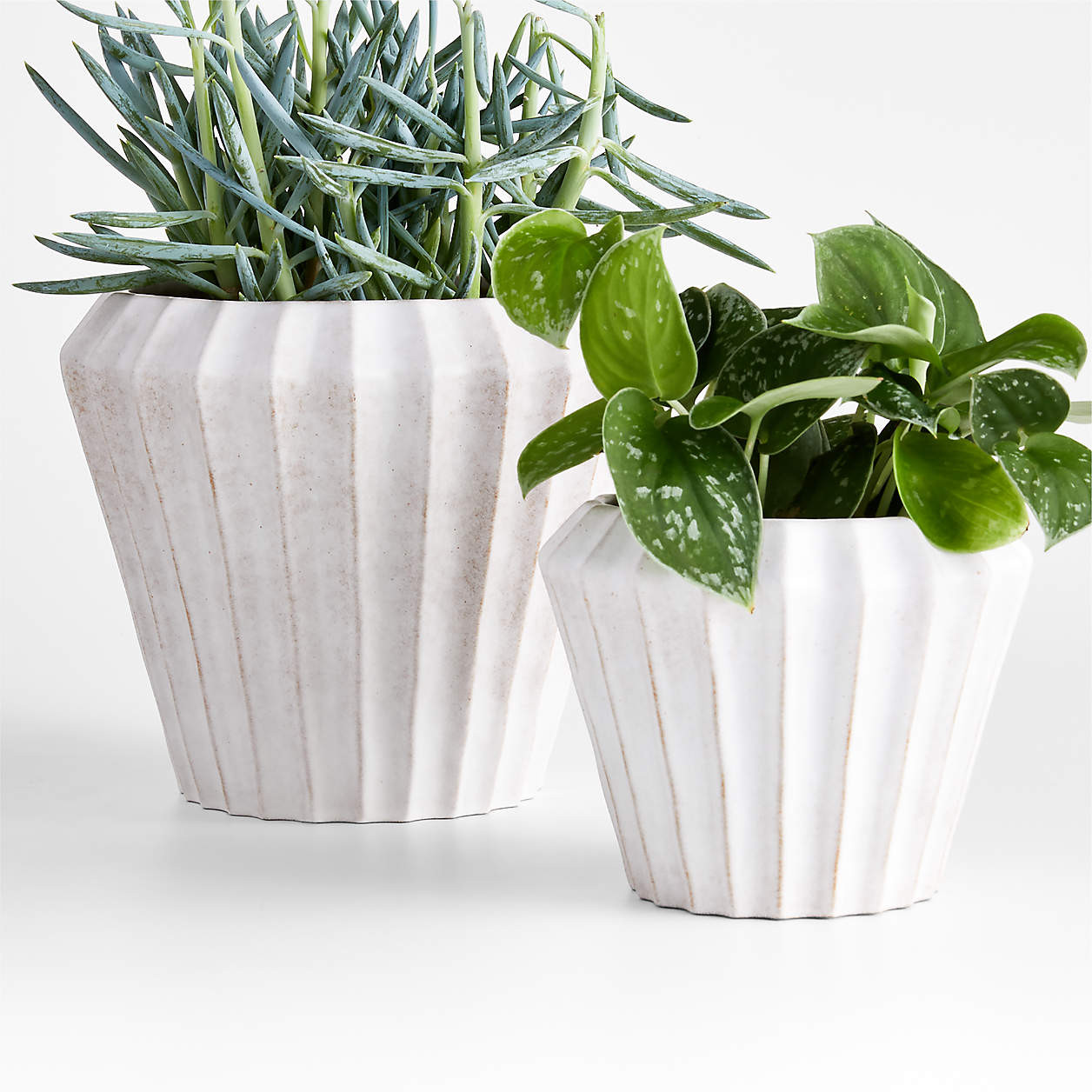 Warren Medium White Ridge Ceramic Indoor/Outdoor Planter + Reviews | Crate & Barrel | Crate & Barrel