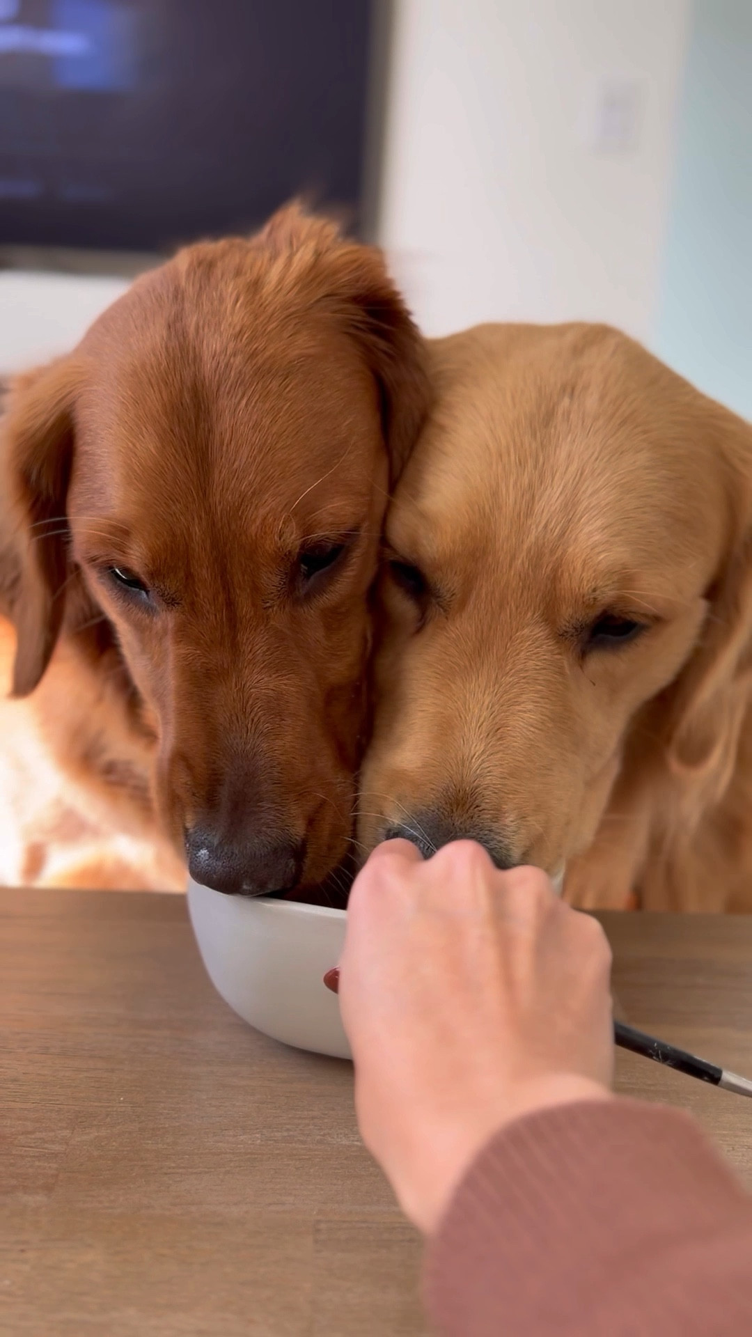 Berry restock 🍓🫐

#LTKhome #LTKfamily #LTKHoliday