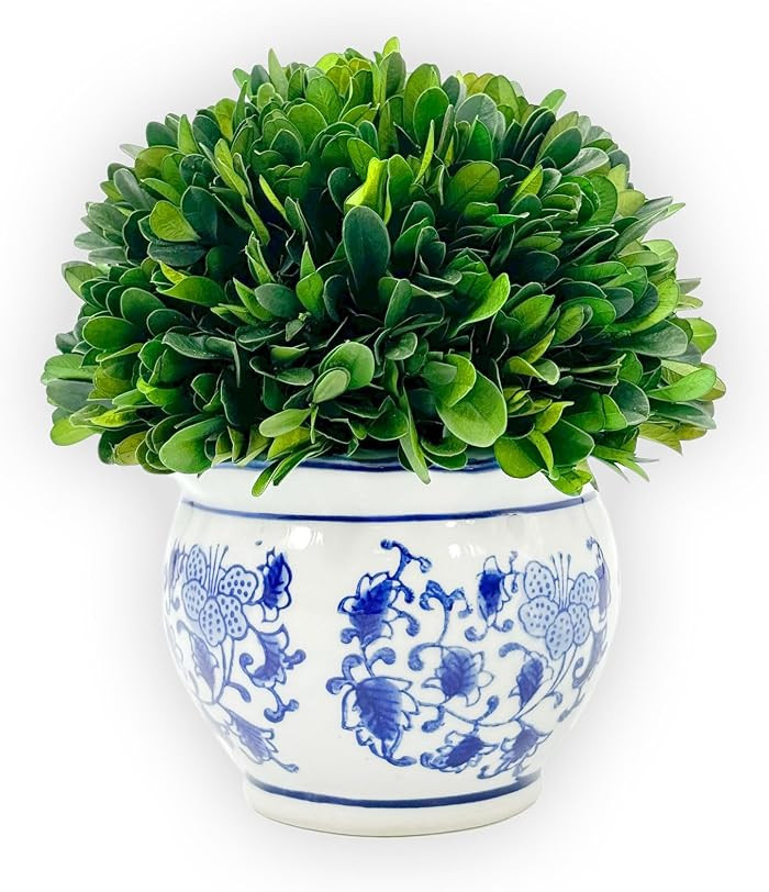 Galt International 9.5" Naturally Preserved Real Boxwood Ball in Hand-Painted Round Bulb Blue & White China Pot Planter... | Amazon (US)