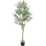 EPESTOEC 6FT(71'') Artificial Olive Tree, Faux Tree for Home Decor Indoor, Faux Olive Branches, Realistic Evergreen Fake Tree for Home Office Modern Decoration Housewarming Shop | Amazon (US)