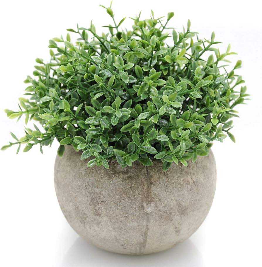 Velener Mini Sage Green Potted Boxwood Topiary Artificial Plants for Home Decor Indoor, Farmhouse... | Amazon (US)