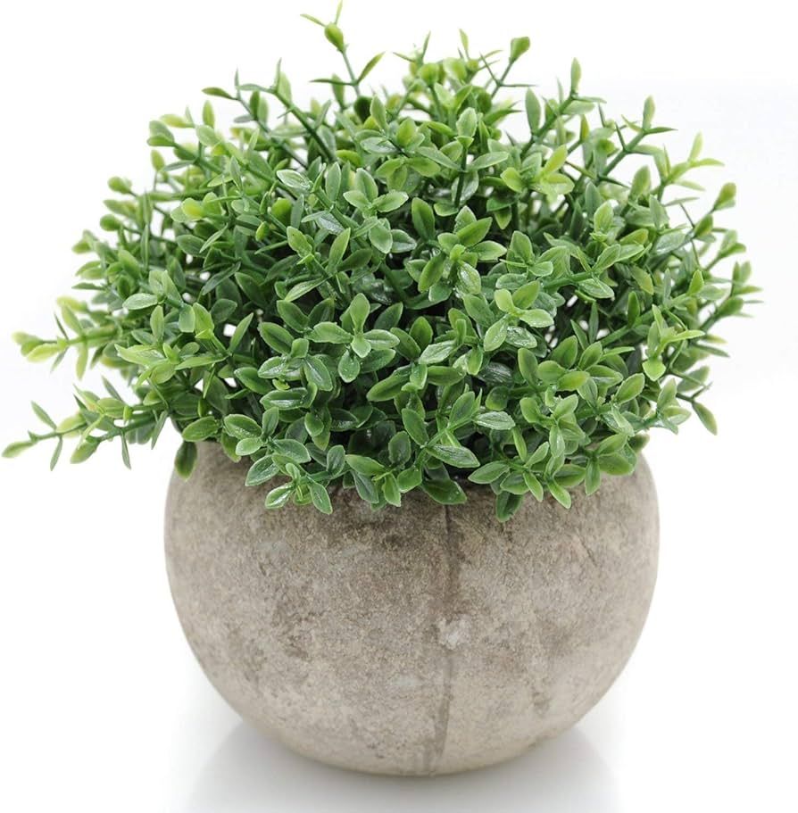 Velener Mini Sage Green Potted Boxwood Topiary Artificial Plants for Home Decor Indoor, Farmhouse... | Amazon (US)