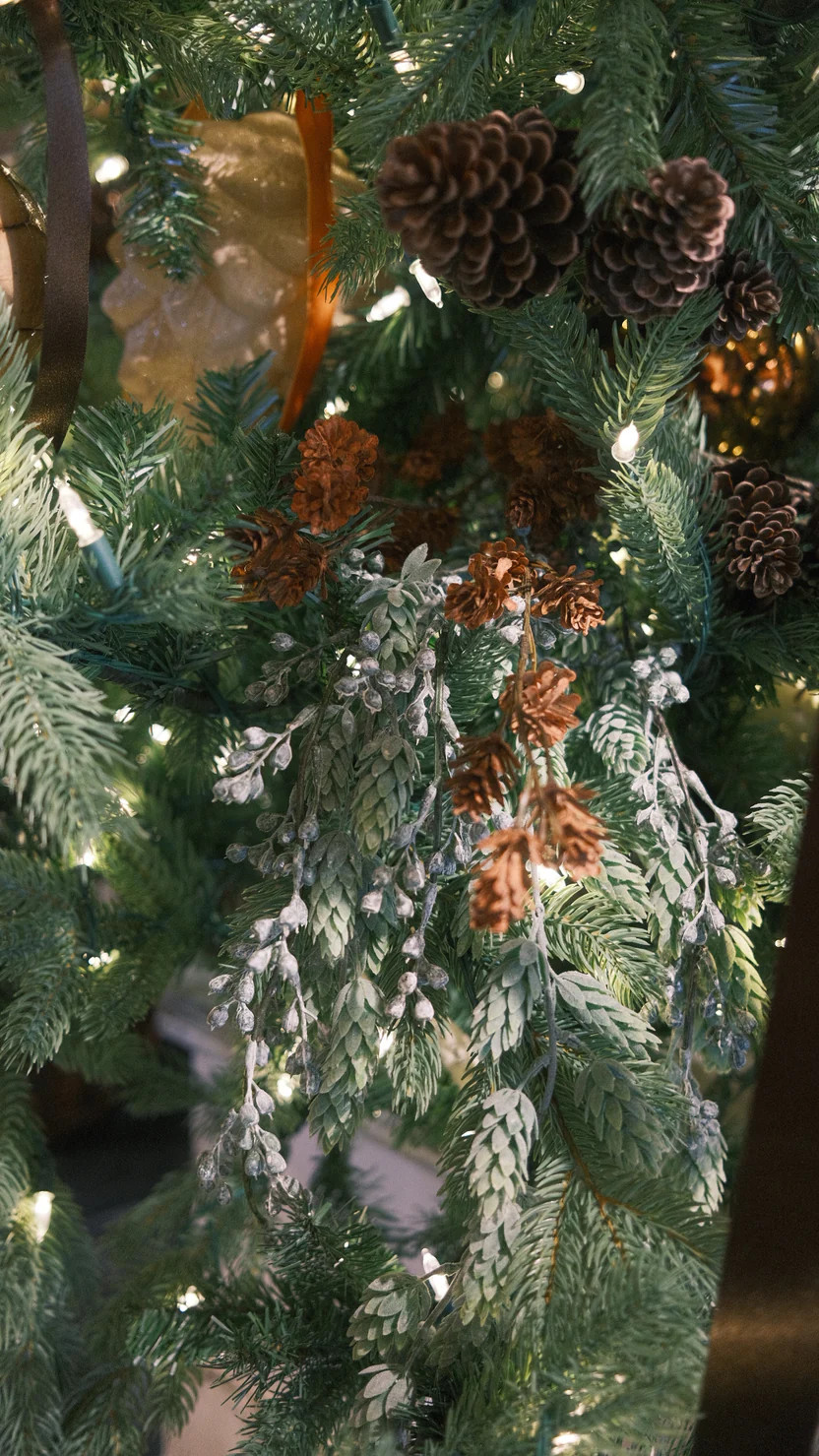 Sedum Hanging Spray | Gatehouse No.1