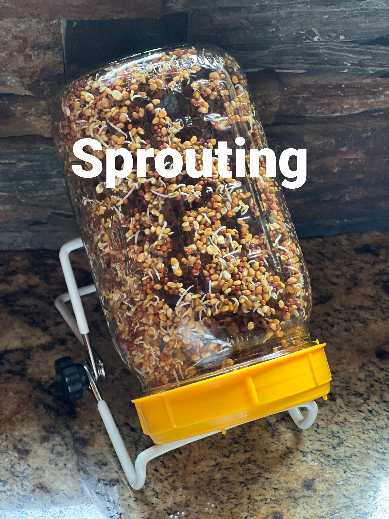 Spring is here and it’s time to get sprouting! These are my favorite sprouting lids and jar holders! So easy!! 

#sprouting #spring #healthy

#LTKSeasonal #LTKFamily