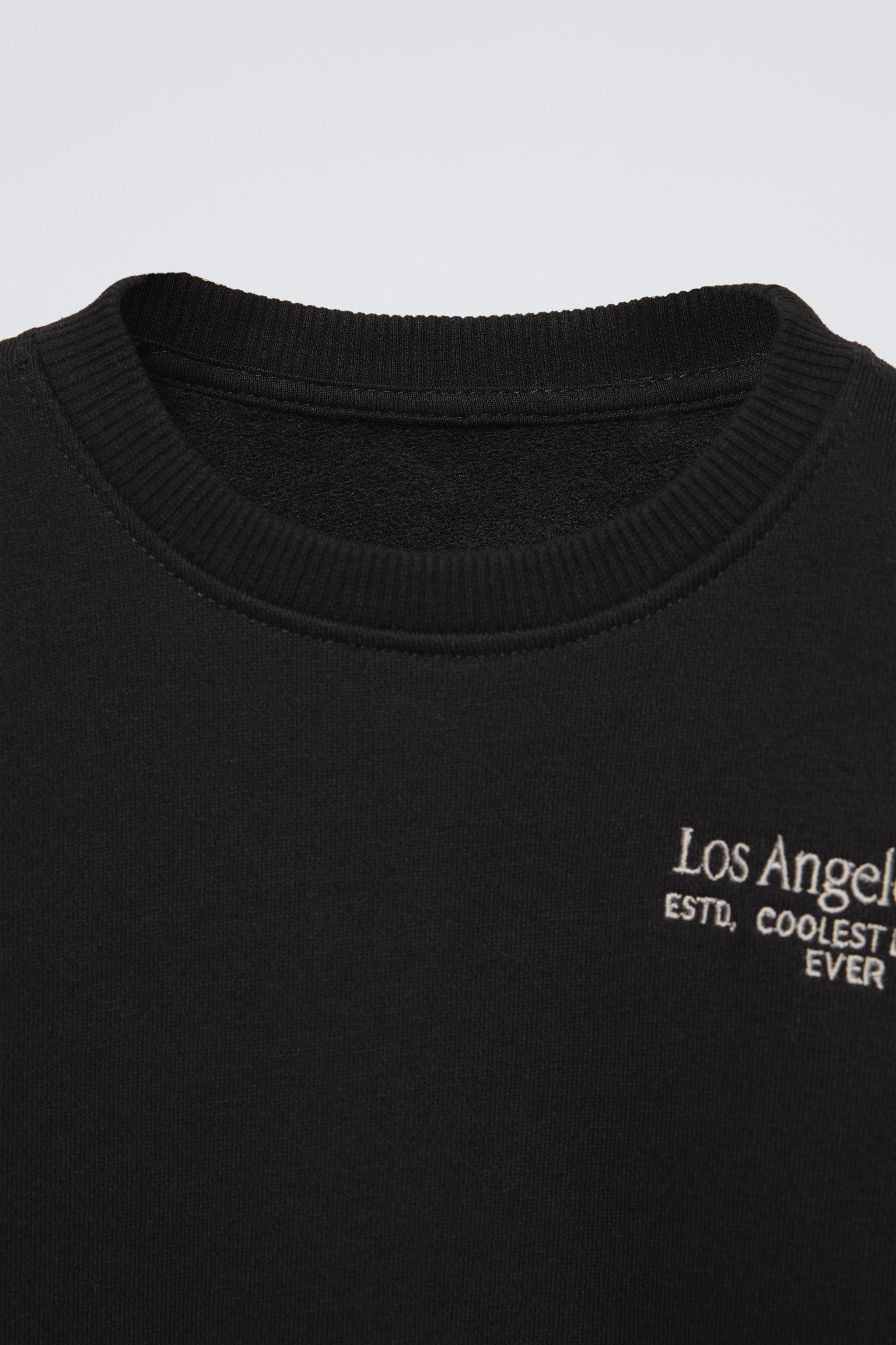 EMBROIDERED TEXT SWEATSHIRT | Zara US