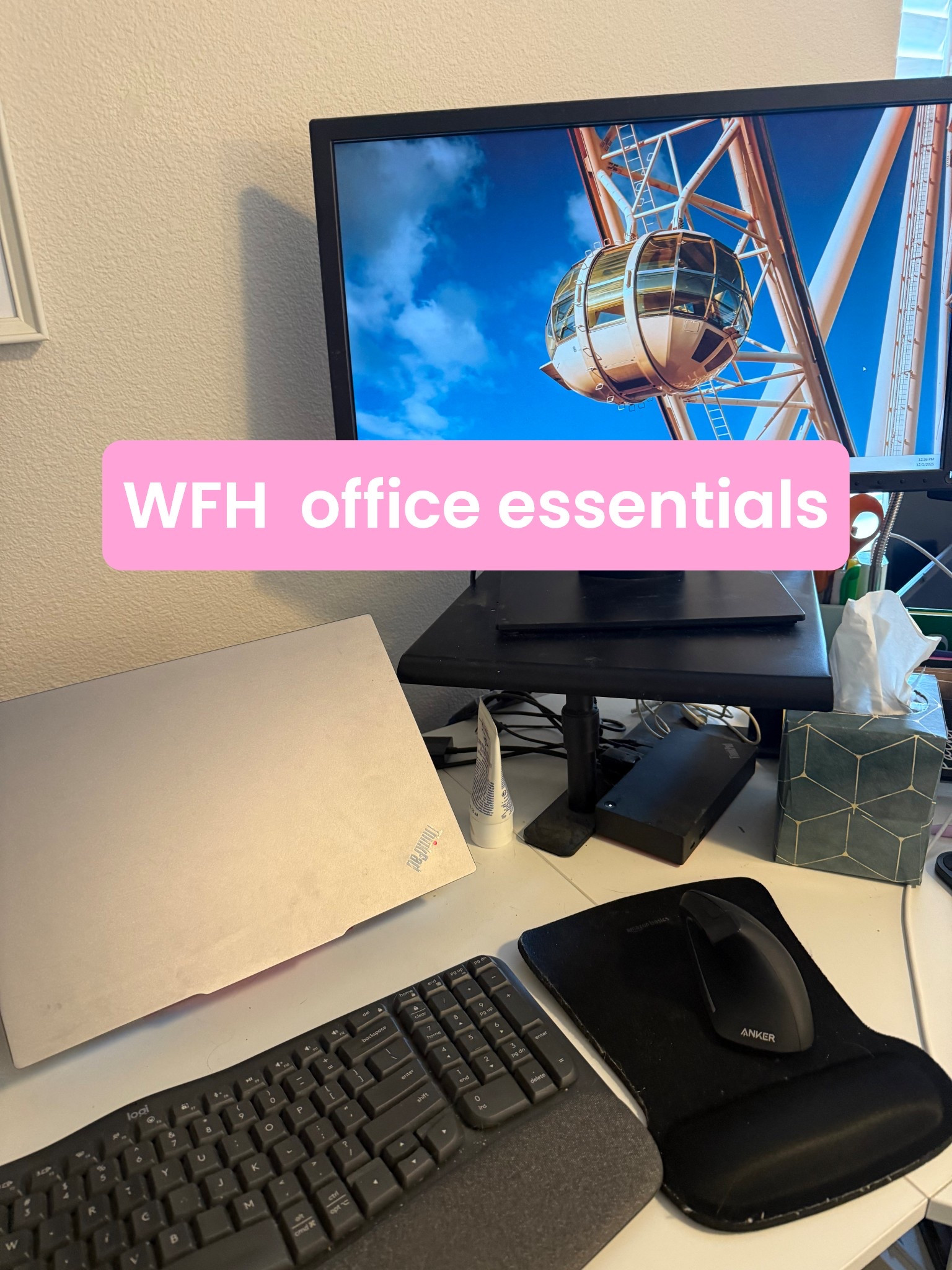 Literally use all of these every day since I work remote 