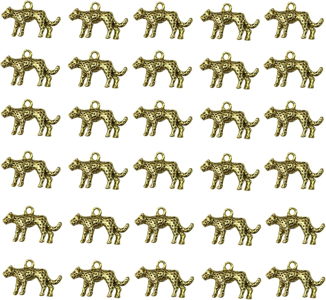 30PCS Leopard Charms Alloy 3D Cheetah Animal Charms Pendants Imitation Big Cat Animals Accessorie... | Amazon (US)