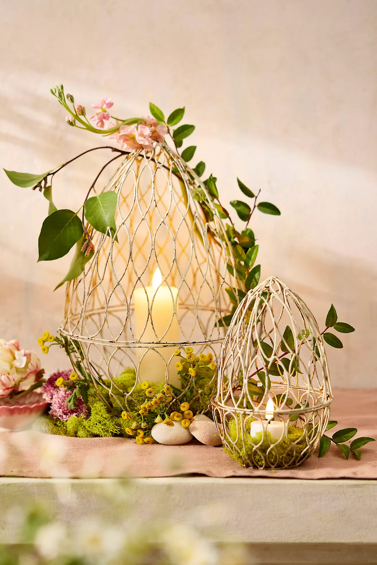 Wire Egg Cloche | Anthropologie (US)