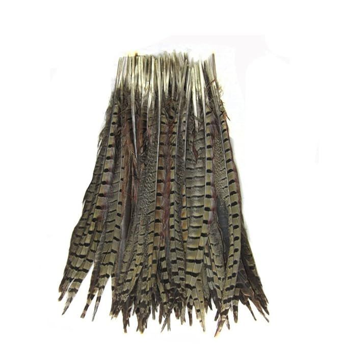 KOLIGHT Set of 50pcs Natural Dyed Pheasant Tails Feathers 12-14 inch DIY Decoration (Natural) | Amazon (US)